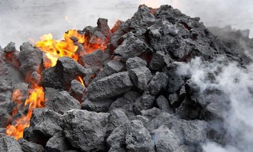 زغال کک شو پیش از تعطیلات سال نو چین افزایشی شد
