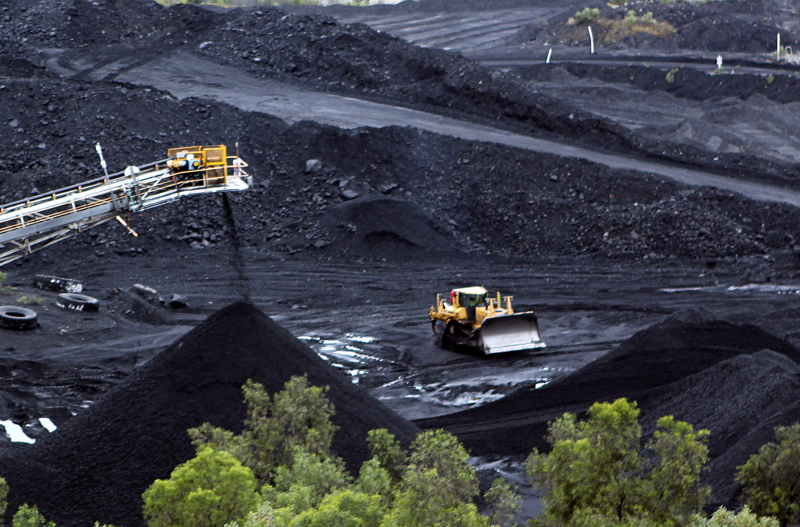 زغال سنگ استرالیا در بازار هند رقیب پیدا کرد
