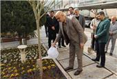 کاشت یک اصله درخت توسط مدیرعامل شرکت ملی مس ایران