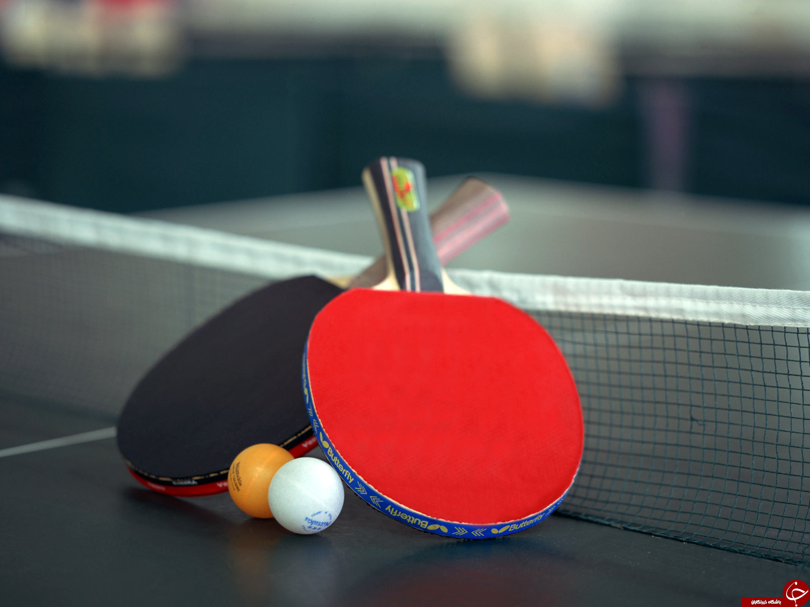 پایان رقابت‌های تنیس روی میز جام سردار سلیمانی مجتمع صنعتی چادرملو